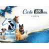 Carte Cadeau Ani'dom