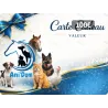 Carte Cadeau Ani'dom