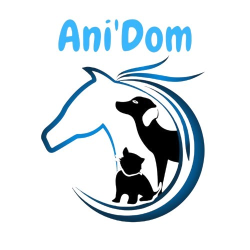Ani'dom